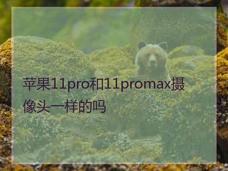 苹果11pro和11promax摄像头一样的吗