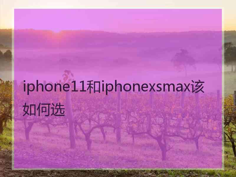 iphone11和iphonexsmax该如何选