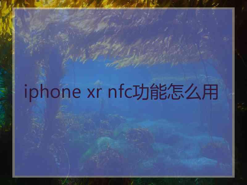 iphone xr nfc功能怎么用