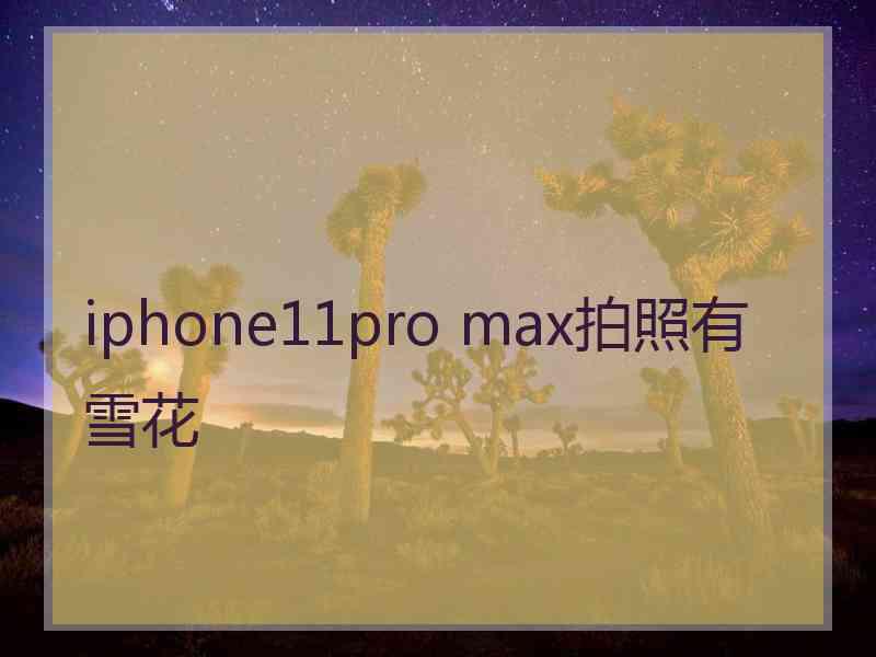 iphone11pro max拍照有雪花