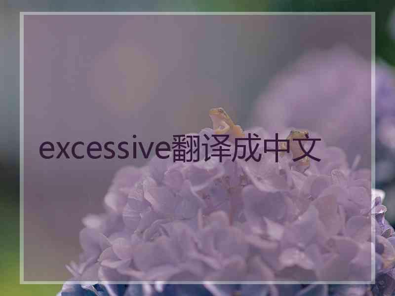 excessive翻译成中文