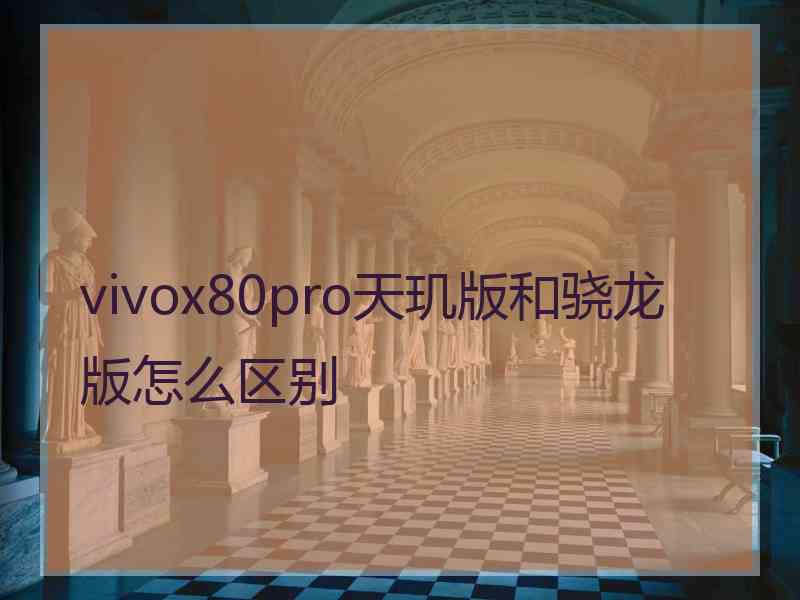 vivox80pro天玑版和骁龙版怎么区别