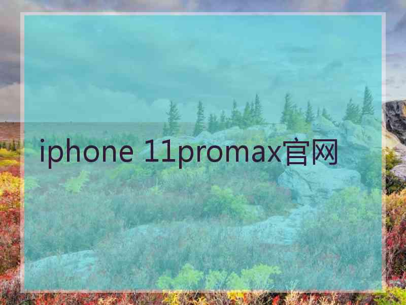 iphone 11promax官网