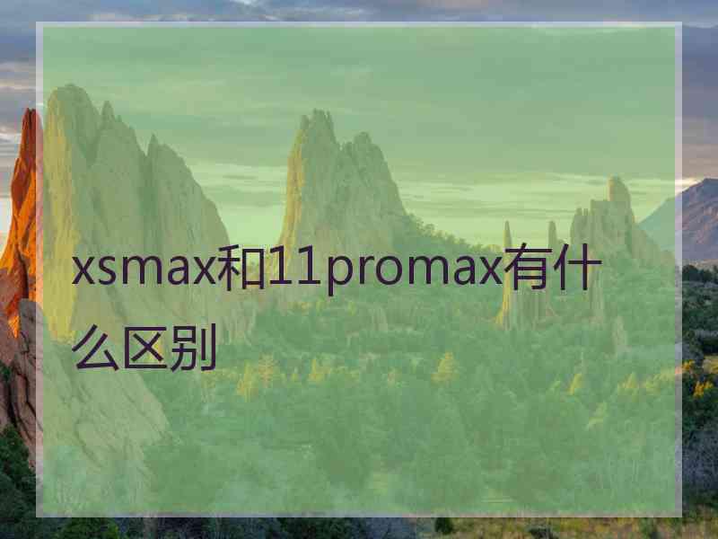 xsmax和11promax有什么区别