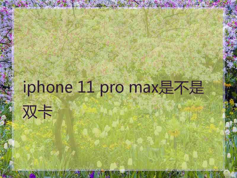 iphone 11 pro max是不是双卡