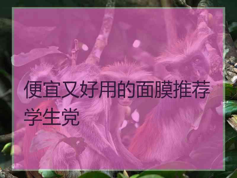 便宜又好用的面膜推荐学生党