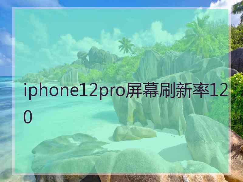 iphone12pro屏幕刷新率120