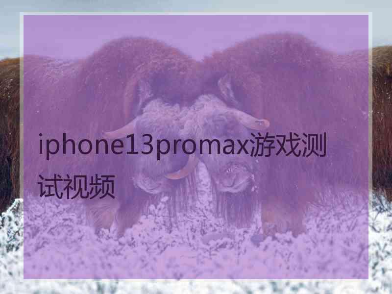 iphone13promax游戏测试视频