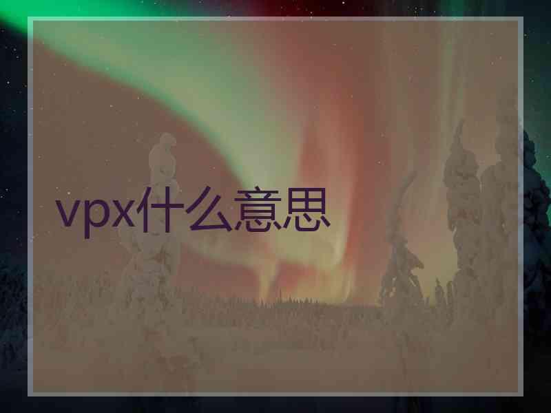 vpx什么意思