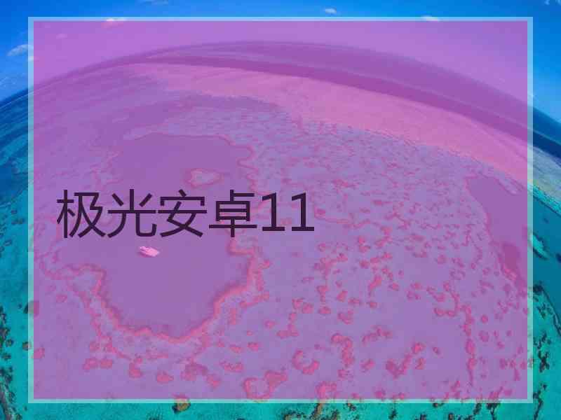 极光安卓11