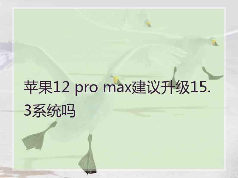 苹果12 pro max建议升级15.3系统吗