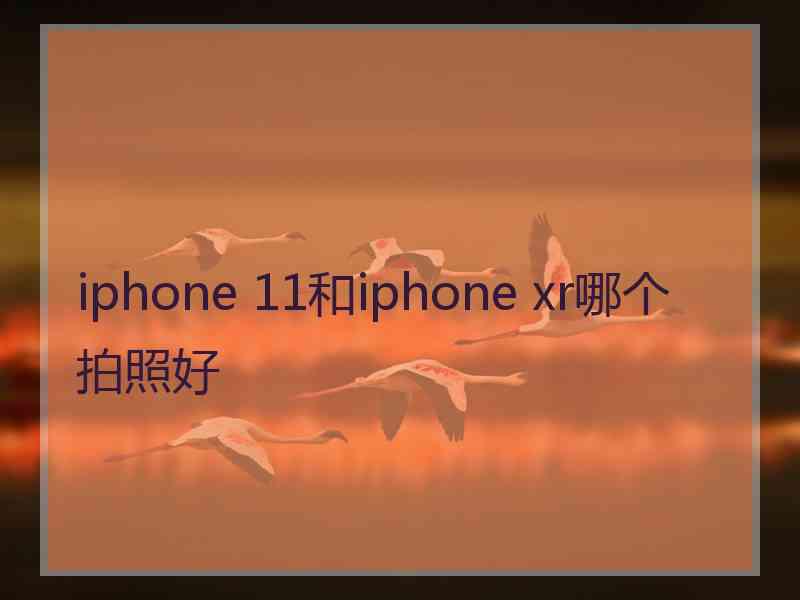 iphone 11和iphone xr哪个拍照好