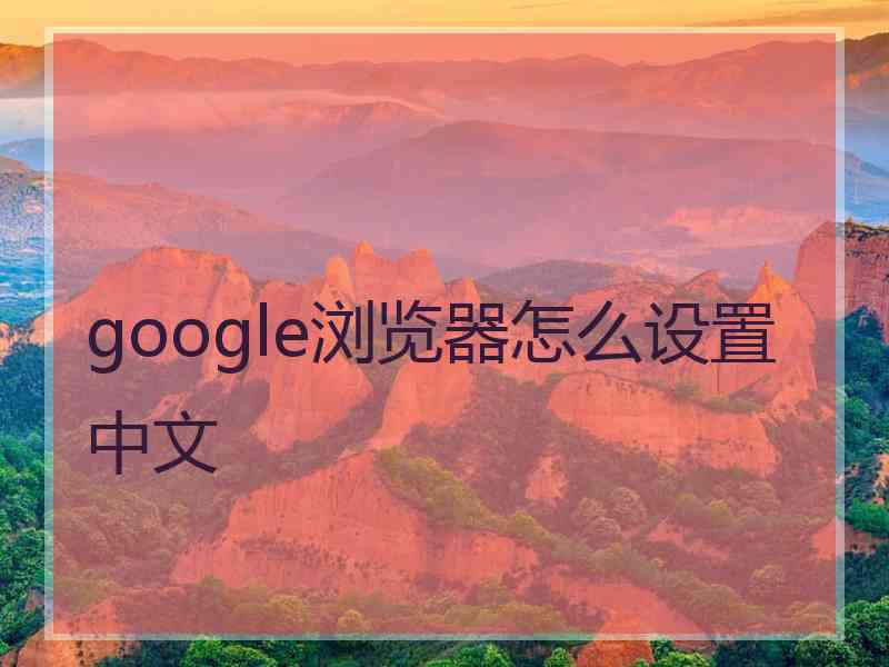 google浏览器怎么设置中文