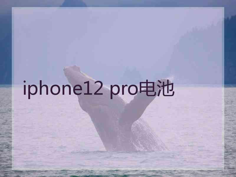 iphone12 pro电池