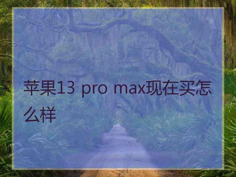 苹果13 pro max现在买怎么样