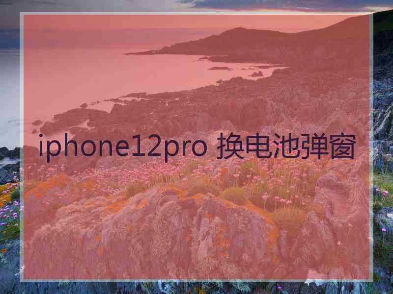 iphone12pro 换电池弹窗