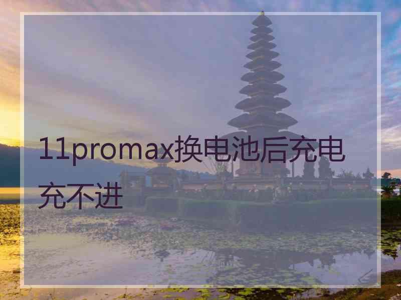 11promax换电池后充电充不进