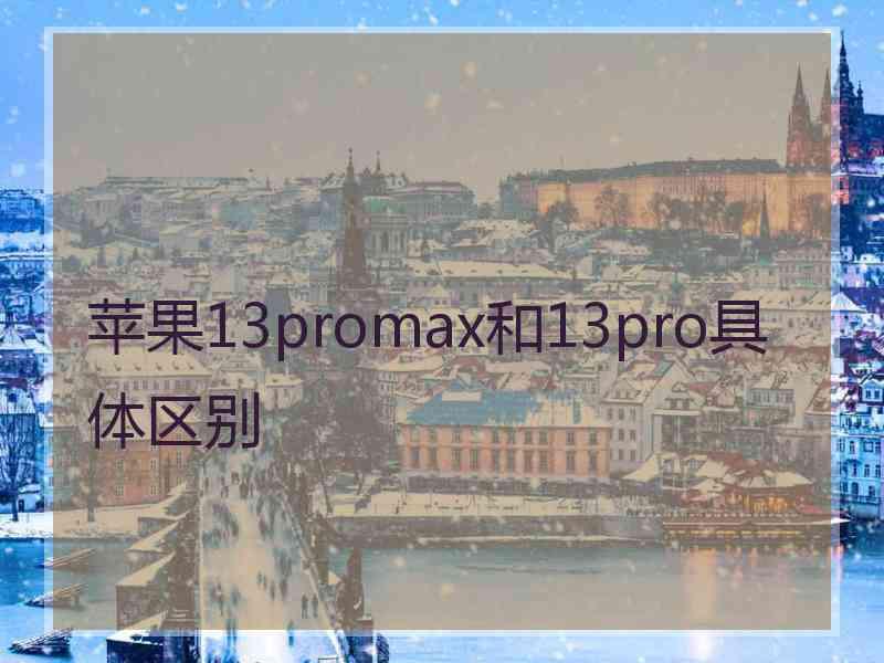 苹果13promax和13pro具体区别