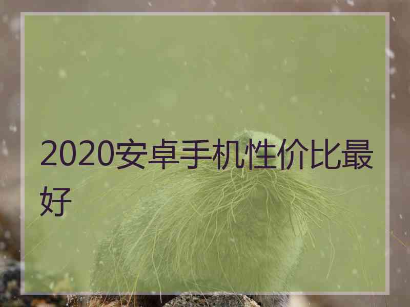 2020安卓手机性价比最好