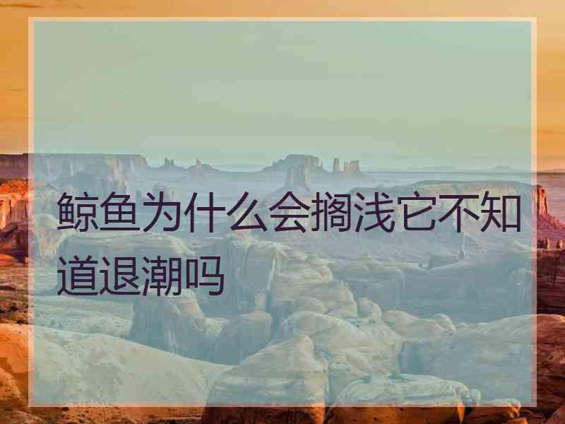 鲸鱼为什么会搁浅它不知道退潮吗