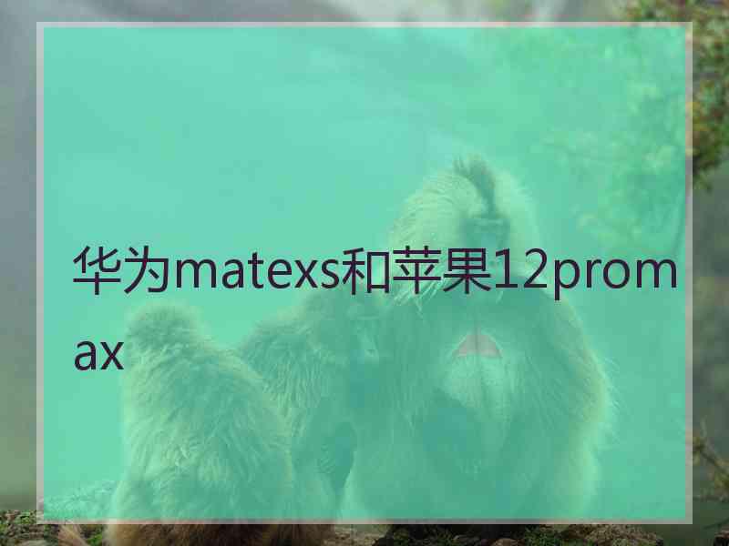 华为matexs和苹果12promax