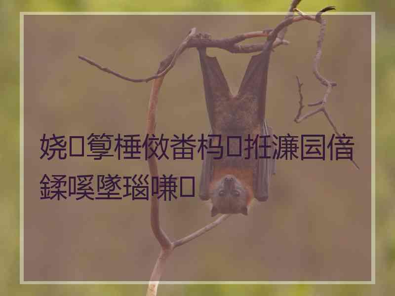 娆箰棰傚畨杩拰濂囩偣鍒嗘墜瑙嗛