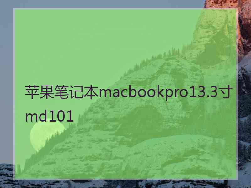 苹果笔记本macbookpro13.3寸md101