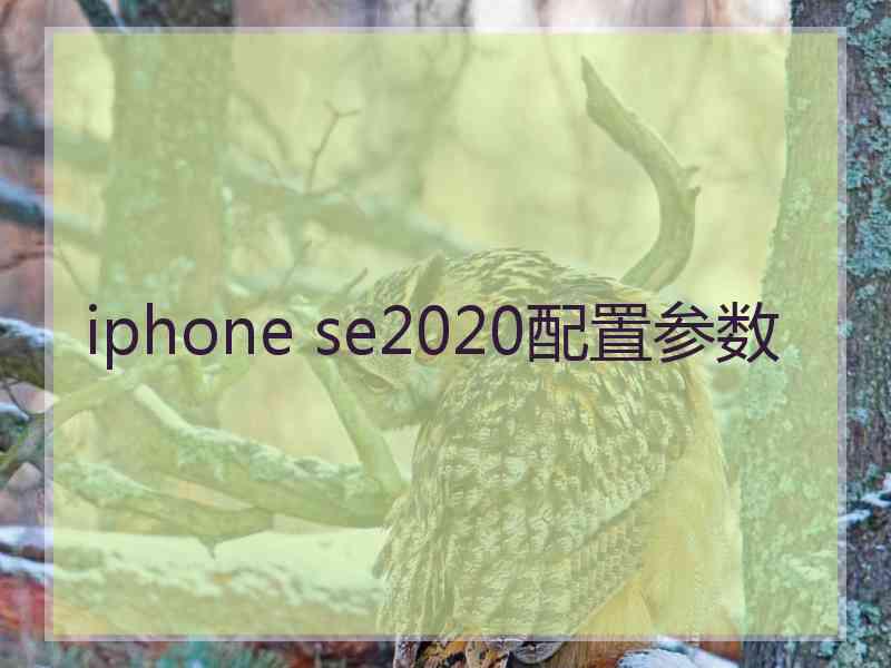 iphone se2020配置参数