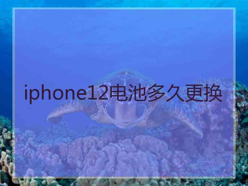 iphone12电池多久更换