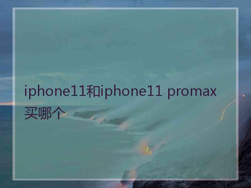 iphone11和iphone11 promax买哪个