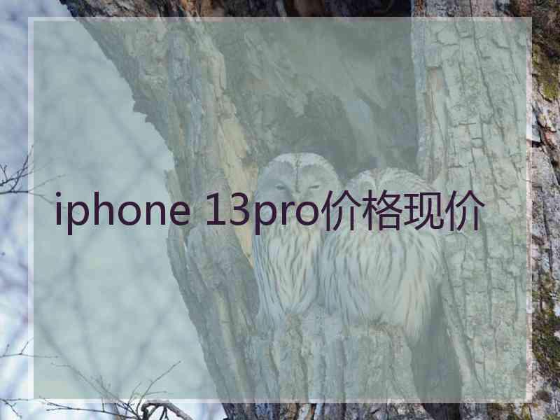 iphone 13pro价格现价