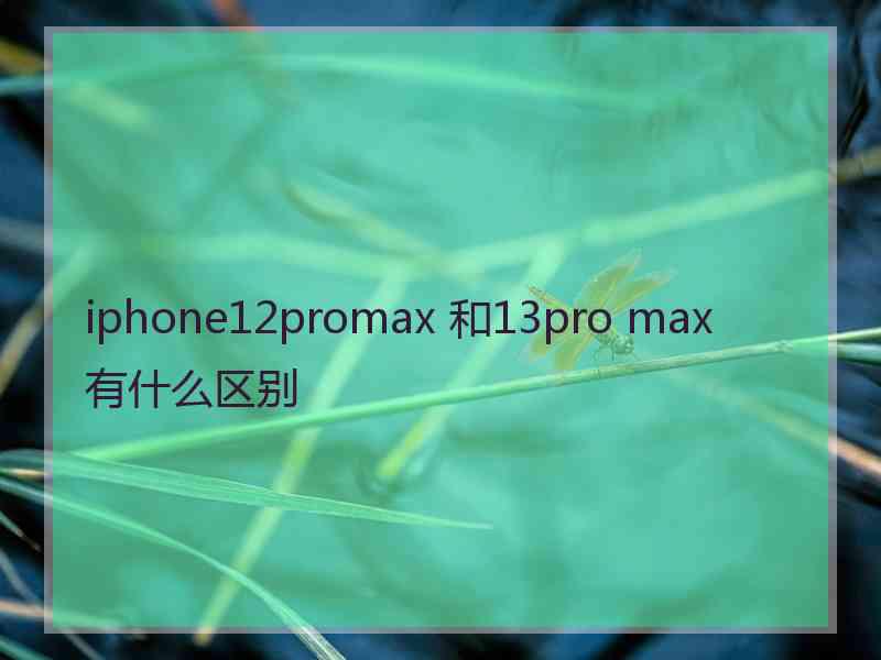 iphone12promax 和13pro max 有什么区别