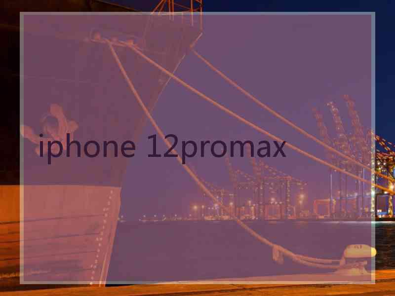 iphone 12promax