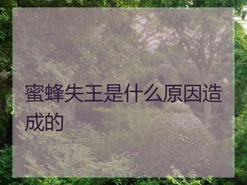 蜜蜂失王是什么原因造成的