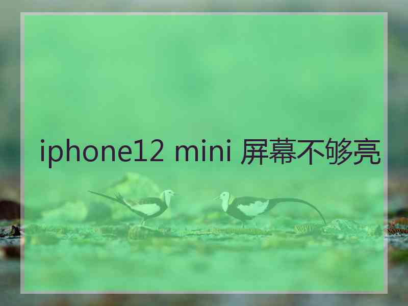 iphone12 mini 屏幕不够亮