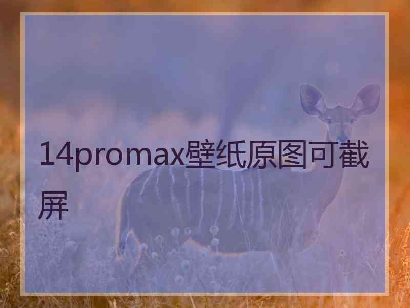 14promax壁纸原图可截屏