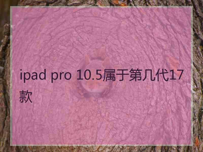 ipad pro 10.5属于第几代17款