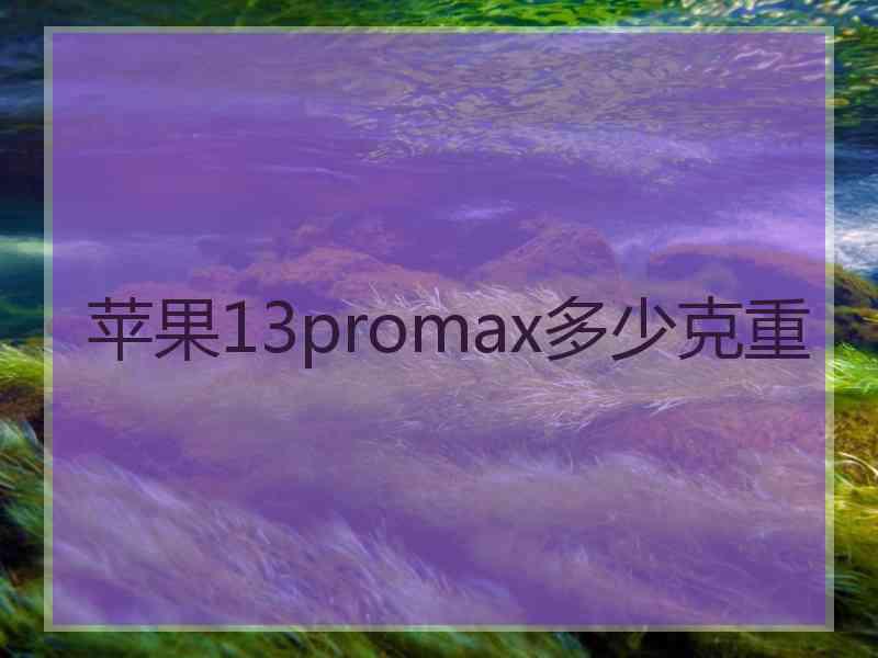 苹果13promax多少克重