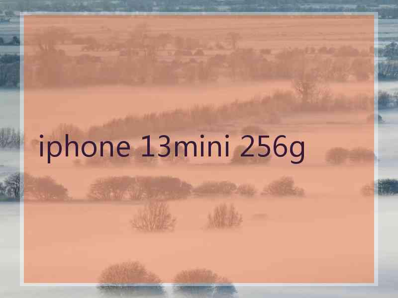 iphone 13mini 256g