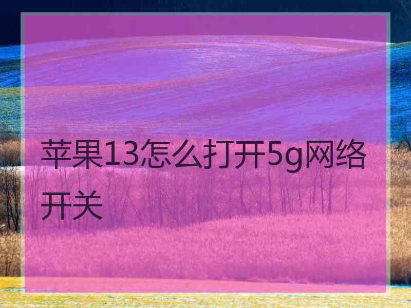 苹果13怎么打开5g网络开关