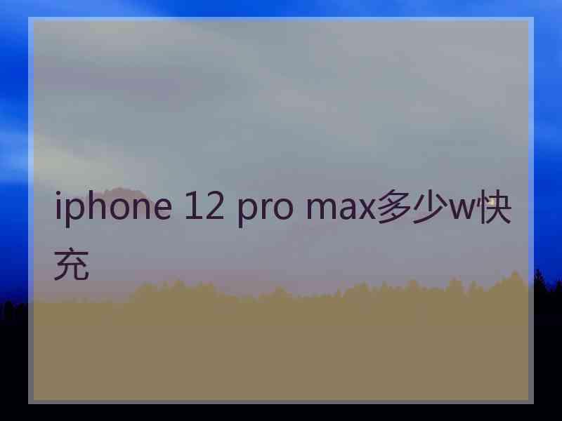 iphone 12 pro max多少w快充