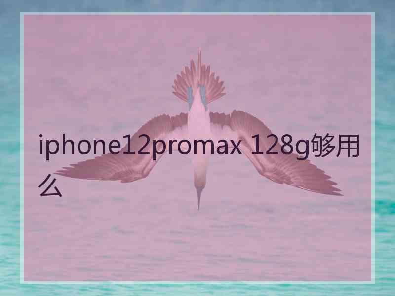 iphone12promax 128g够用么