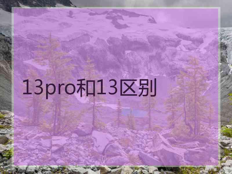 13pro和13区别