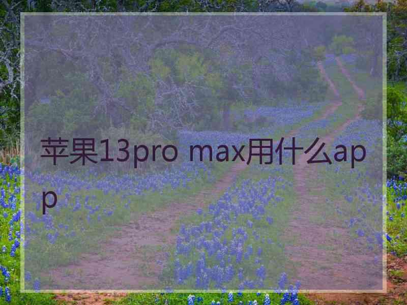 苹果13pro max用什么app