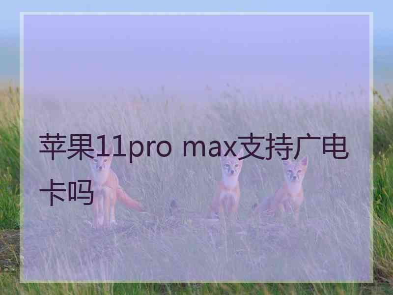 苹果11pro max支持广电卡吗