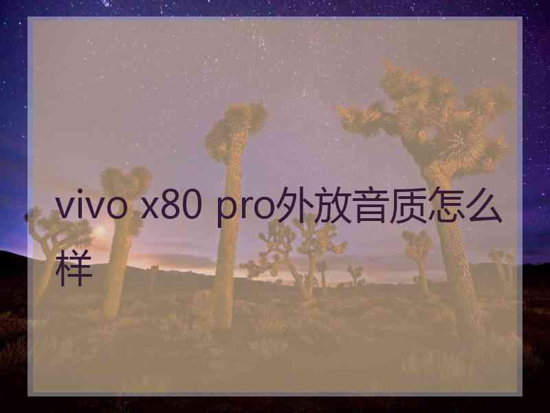 vivo x80 pro外放音质怎么样