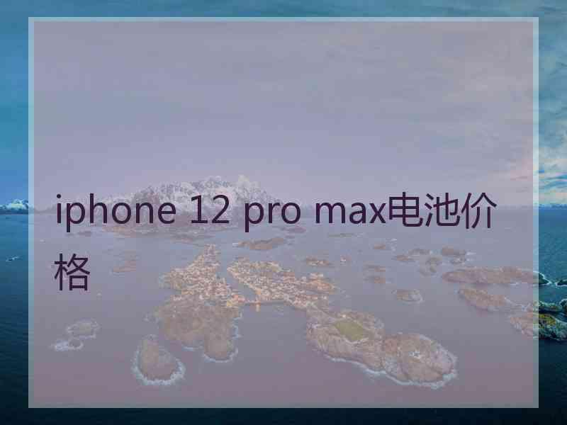 iphone 12 pro max电池价格