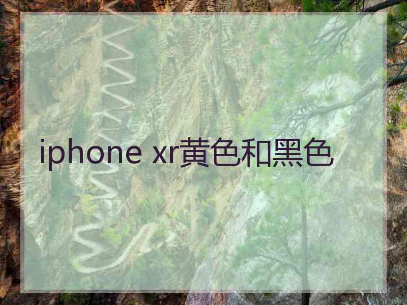 iphone xr黄色和黑色