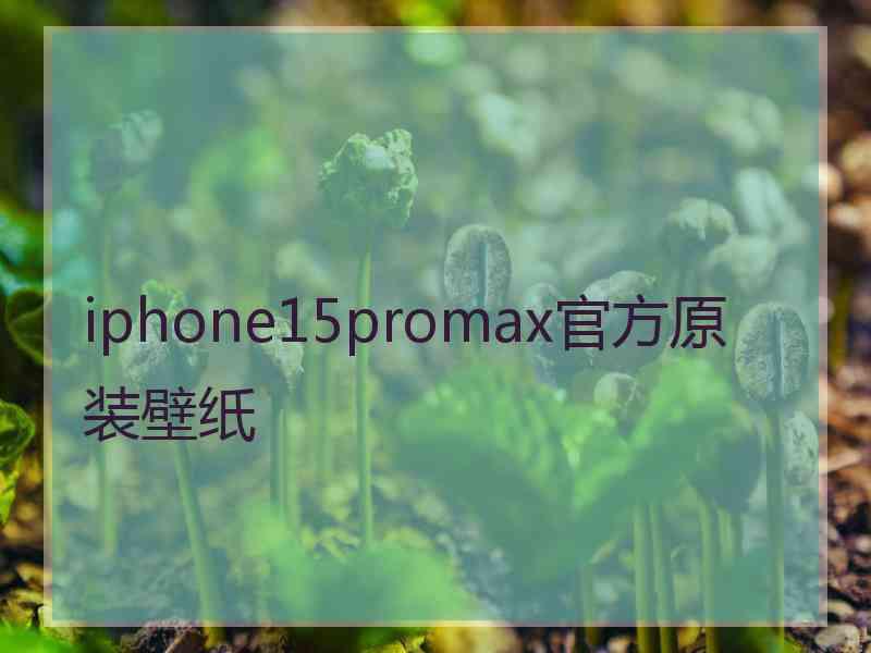 iphone15promax官方原装壁纸