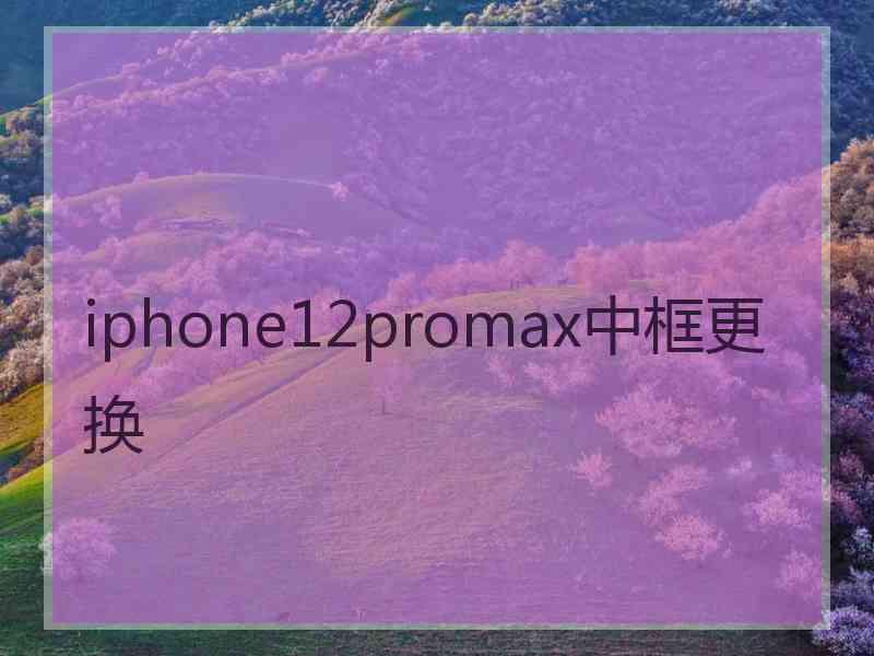 iphone12promax中框更换